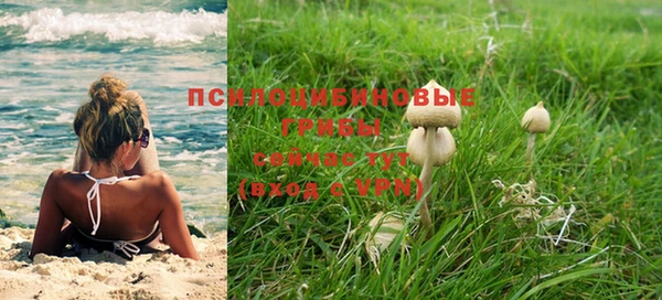 марихуана Абаза