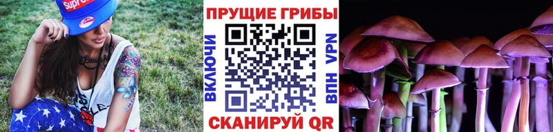 дарнет шоп  Тольятти  Галлюциногенные грибы мухоморы 